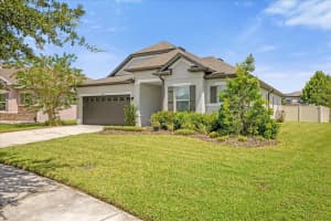 8064 OLIVE BROOK DRIVE, WESLEY CHAPEL, FL 33545 - MLS#MFRO6238512