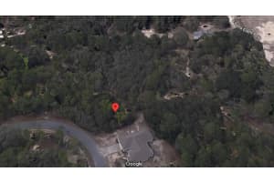 36 CHERRYPALM COURT, HOMOSASSA, FL 34446 - MLS#MFRO6238568