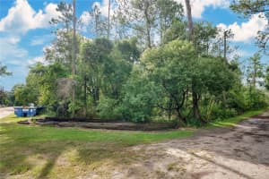 FARMINGDALE RD, CLERMONT, FL 34714 - MLS#MFRO6238920