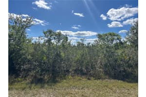 903 CALLIANDRA DRIVE, INDIAN LAKE ESTATES, FL 33855 - MLS#MFRO6238948