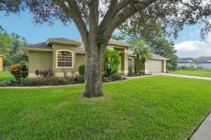 20591 NETTLETON STREET, ORLANDO, FL 32833 Sold 10/08/24