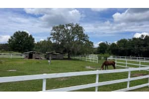 1356 CINDER LANE, KISSIMMEE, FL 34744 Sold 12/30/24