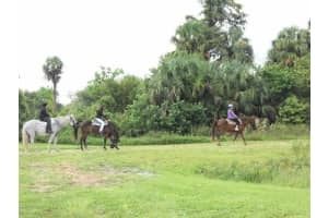 LOT A BURHANS ROAD, EUSTIS, FL 32736 - MLS#MFRO6239370