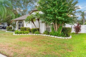 544 ROYAL RIDGE STREET, VALRICO, FL 33594 Sold 04/07/25
