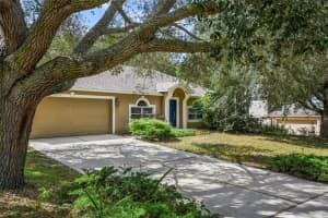 1111 JAYHIL DRIVE, MINNEOLA, FL 34715 Sold 01/23/25