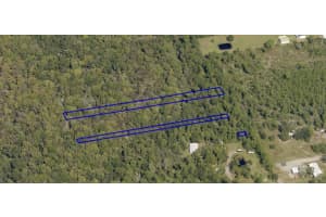 2313 US HIGHWAY 1, MIMS, FL 32754 - MLS#MFRO6239773