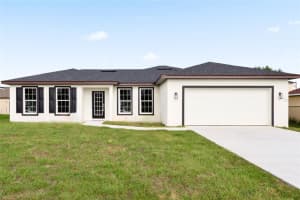 1307 CONGO DRIVE, KISSIMMEE, FL 34759 Sold 03/24/25