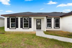 1307 CONGO DRIVE, KISSIMMEE, FL 34759 Sold 03/24/25