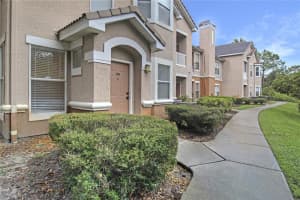 10407 Villa View Cir #10407, TAMPA