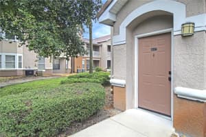 10407 VILLA VIEW CIRCLE, TAMPA, FL 33647 - MLS#MFRO6240114