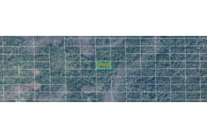 DILL RD, ORLANDO, FL 32820 - MLS#MFRO6240167