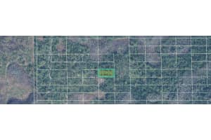 DILL RD, ORLANDO, FL 32820 - MLS#MFRO6240173