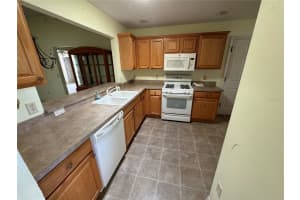 1166 JOHNSTON PATH, THE VILLAGES, FL 32162 Sold 03/03/25