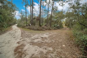 875 GATOR LANE, DELTONA, FL 32738 - MLS#MFRO6240498