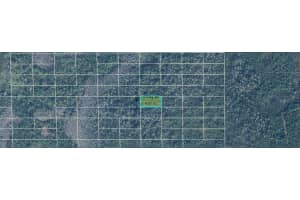 DILL RD, ORLANDO, FL 32820 - MLS#MFRO6240564