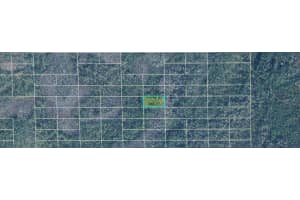 DILL RD, ORLANDO, FL 32820 - MLS#MFRO6240566