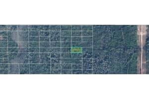 DILL RD, ORLANDO, FL 32820 - MLS#MFRO6240572