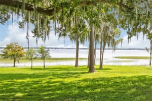 12334 SUMMERPORT LANE, WINDERMERE, FL 34786 Sold 04/07/25
