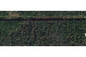 ROBIN TRL, KISSIMMEE, FL 34747 - MLS#MFRO6241759