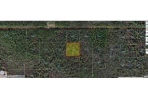 ROBIN TRL, KISSIMMEE, FL 34747 - MLS#MFRO6241760