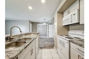 437 FOUNTAINHEAD CIRCLE, KISSIMMEE, FL 34741 Sold 11/12/24