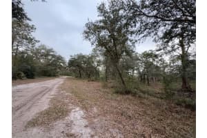 1012 INDIAN LAKE DRIVE, INDIAN LAKE ESTATES, FL 33855 - MLS#MFRO6241846