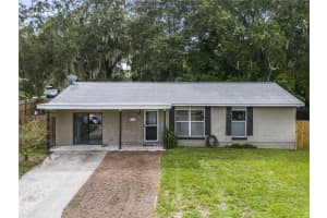 1111 FLAMINGO DRIVE, LEESBURG, FL 34748 Sold 02/28/25