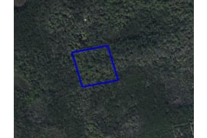 095 PINE NEEDLE ROAD, MIMS, FL 32754 - MLS#MFRO6242445