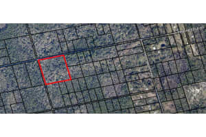 095 PINE NEEDLE ROAD, MIMS, FL 32754 - MLS#MFRO6242445