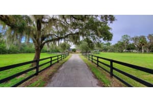 1651 WALSH STREET, OVIEDO, FL 32765 Sold 10/31/24