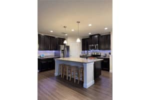 166 MAUDEHELEN STREET, APOPKA, FL 32703 Sold 12/19/24