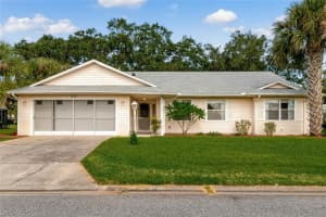 26166 NEWCOMBE CIRCLE, LEESBURG, FL 34748 Sold 01/03/25