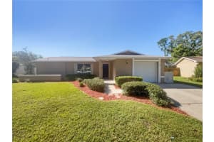 17854 MORNINGHIGH DRIVE, LUTZ, FL 33549 Sold 11/27/24