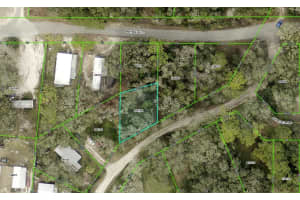 TAMER LN #31, DADE CITY, FL 33523 Sold 10/07/25
