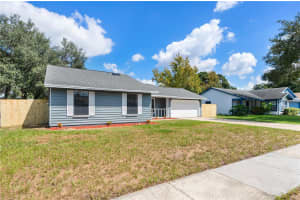 8113 OLD GROVE DRIVE, ORLANDO, FL 32818 Sold 11/25/24