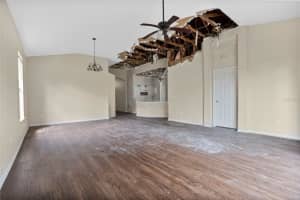 19259 WOOD SAGE DRIVE, TAMPA, FL 33647 Sold 12/13/24