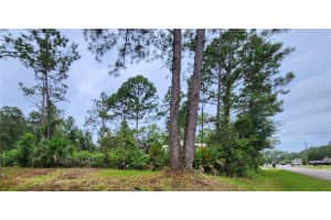 15 SLUMBER MEADOW TRAIL, PALM COAST, FL 32164 - MLS#MFRO6244607