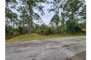 15 SLUMBER MEADOW TRAIL, PALM COAST, FL 32164 - MLS#MFRO6244607