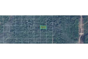 DILL RD, ORLANDO, FL 32820 - MLS#MFRO6244644