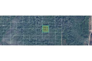 DILL RD, ORLANDO, FL 32820 - MLS#MFRO6244648