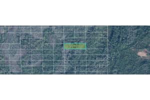 DILL RD, ORLANDO, FL 32820 - MLS#MFRO6244652