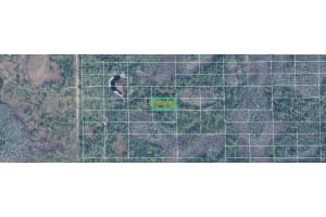 DILL RD, ORLANDO, FL 32820 - MLS#MFRO6244656