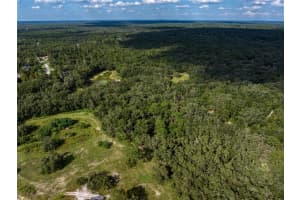 14401 FAMILY TRAIL, HUDSON, FL 34669 Sold 01/08/25