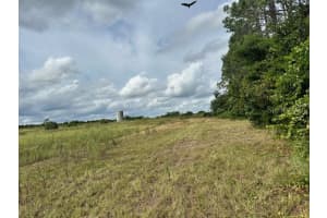DRY FORK RD, GROVELAND, FL 34736 Sold 04/14/25