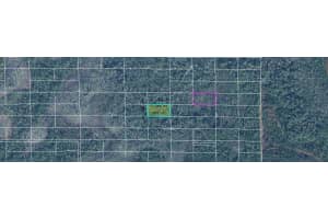 DILL RD, ORLANDO, FL 32820 - MLS#MFRO6244979