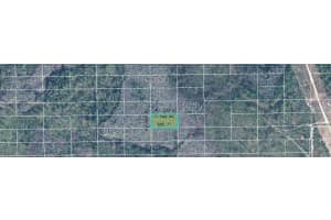 DILL RD, ORLANDO, FL 32820 - MLS#MFRO6244984