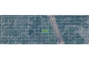 DILL RD, ORLANDO, FL 32820 - MLS#MFRO6244991