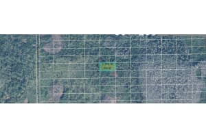 DILL RD, ORLANDO, FL 32820 - MLS#MFRO6244992