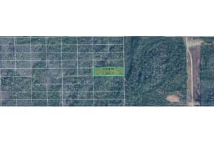 DILL RD, ORLANDO, FL 32820 - MLS#MFRO6245318