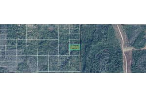 DILL RD, ORLANDO, FL 32820 - MLS#MFRO6245319